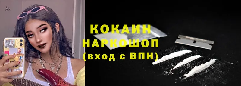 дарнет шоп  Луга  Cocaine Fish Scale 