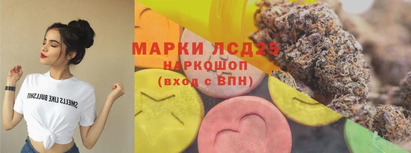 трава Магас