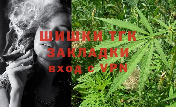 Альфа ПВП Пересвет