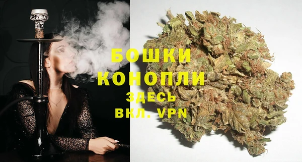трава Магас