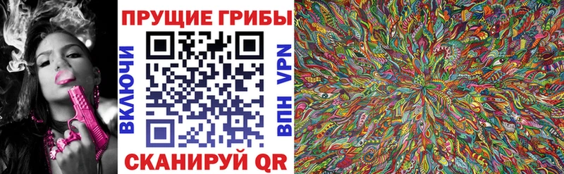 Псилоцибиновые грибы прущие грибы  Луга 