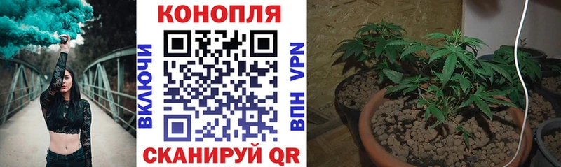 Бошки Шишки VHQ  Луга 